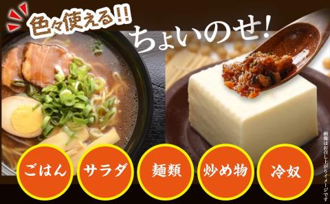 【お試し♪】宮崎辛飯!!ピリッと辛いおかずラー油2個※ポスト投函_LA-J901-PF