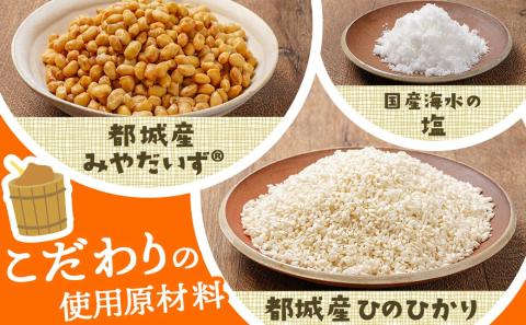 お家で簡単!味噌づくりキット【米味噌】_AA-G801