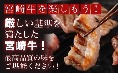 宮崎牛バラ焼肉1kg(真空)_17-8903_【肉 牛肉 焼き肉 焼肉 人気 おすすめ 国産 宮崎県産】