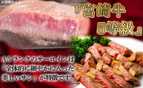 【A5】肉厚!宮崎牛サーロインハーフカットステーキ2枚_AD-0112