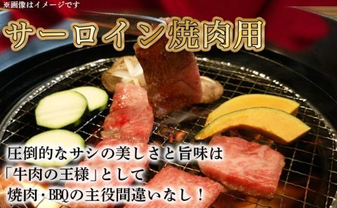 【A5】宮崎牛サーロイン焼肉×スライスギフト1kg【化粧箱入り】_AI-0102_【肉 牛肉 焼き肉 焼肉 スライス すき焼き しゃぶしゃぶ 人気 おすすめ 国産 宮崎県産】
