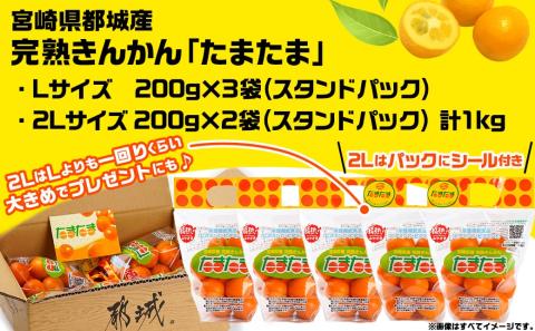 《先行受付!》 完熟きんかん「たまたまL&2L」 計1kg (スタンドパック入り)_AO-0104