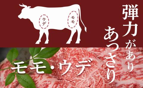 宮崎牛モモ・ウデ切り落とし1kg_AC-2520_【肉 牛肉 切り落とし 焼き肉 焼肉 スライス すき焼き しゃぶしゃぶ 人気 おすすめ 国産】