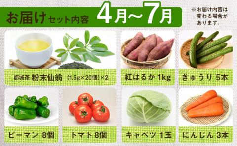 都城茶と都城産季節の野菜セット_AA-3701