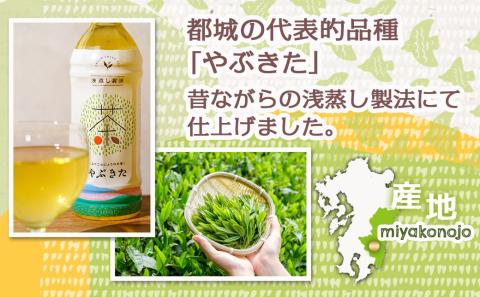 【みやこのじょうのお茶】やぶきた500ml×24本(2ケース)_AD-I501