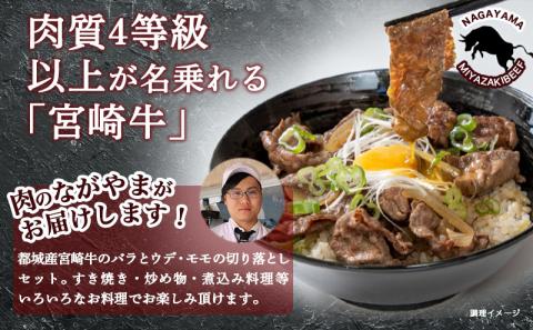 宮崎牛切り落とし食べ比べ1kg_AC-2521