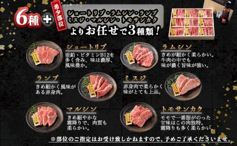 宮崎牛焼肉食べ比べ9種盛_32-3101_【肉 牛肉 焼き肉 焼肉 人気 おすすめ 国産 宮崎県産】