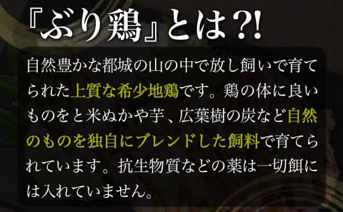 【たしろ屋】希少地鶏『ぶり鶏』のたたき300g(100g×3P)_13-9901