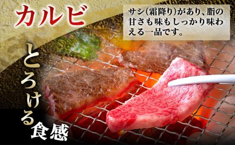 【黒毛和牛】霜降りカルビ&赤身カルビ1kg焼肉セット_AD-4202_【肉 牛肉 焼き肉 焼肉 人気 おすすめ 国産 宮崎県産】