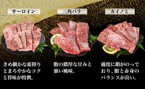【黒毛和牛】焼肉6種盛り食べ比べセット(真空包装)_33-4201_【肉 牛肉 焼き肉 焼肉 人気 おすすめ 国産 宮崎県産】