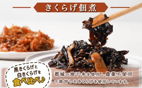 きくらげの佃煮とつまみにんにくのセット_AA-C903