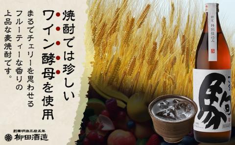 【柳田酒造】≪特別仕込み≫駒(20度)900ml×2本セット_AA-2206