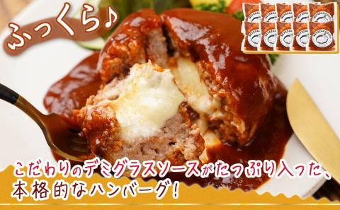 デミグラスソースがたっぷり～チーズインハンバーグ～10個セット_MJ-F706
