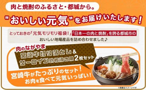 【元気モリモリ福袋】宮崎牛切り落とし・鉄板焼き用サーロイン2枚セット_AE-2501_【肉 牛肉 切り落とし 焼き肉 焼肉  ステーキ スライス すき焼き しゃぶしゃぶ 人気 おすすめ 国産】