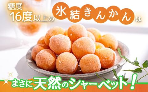 天然のシャーベット! 丸かじり氷結きんかん_AA-B502
