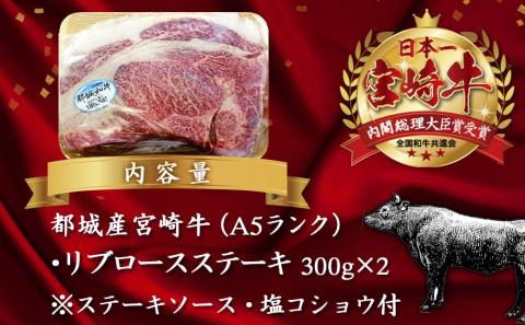 宮崎牛(A5)リブロースステーキ300g×2枚≪みやこんじょ特急便≫_AD-0103-Q