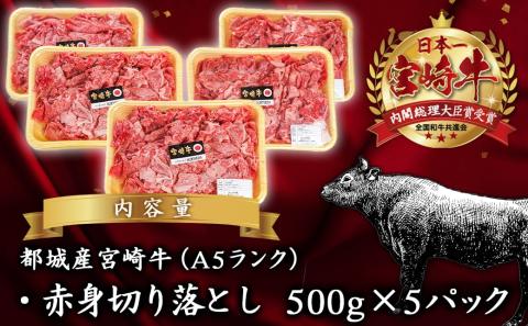宮崎牛(A5)赤身切り落とし 2.5kg_DI-0102_【肉 牛肉 切り落とし 焼き肉 焼肉 スライス すき焼き しゃぶしゃぶ 人気 おすすめ 国産】