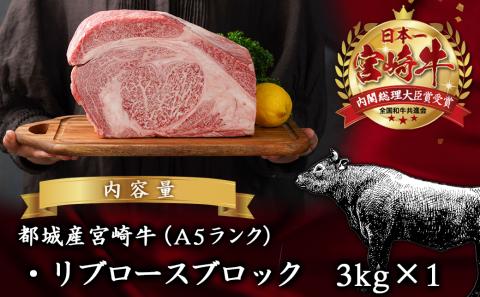 超主役級!宮崎牛リブロースブロック 3kg_MC-0102