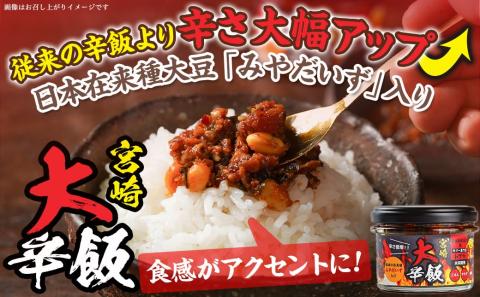 都城商業高校×トプカ☆宮崎辛飯＆宮崎大辛飯セット_14-J901