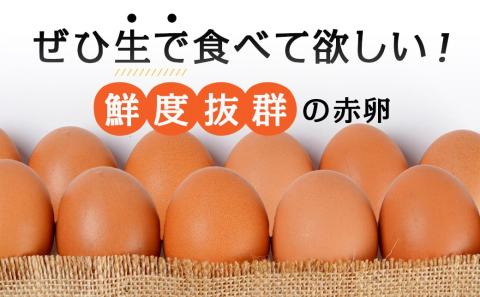 星空が綺麗な町より～「めぐみのたまご」(LまたはMサイズ)10kg_16-6801