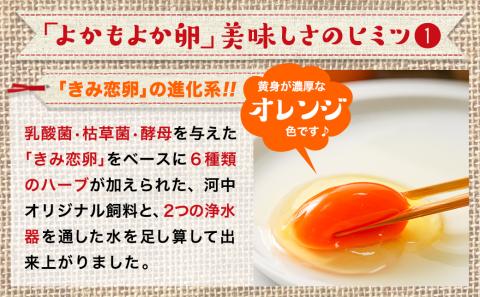 よかもよか卵85個の定期便(4ヶ月)_T60-4-2901