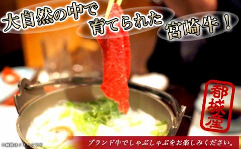 宮崎牛モモ・ウデしゃぶしゃぶ1kg_AC-2524