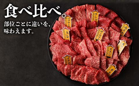 【国産黒毛和牛】焼肉食べ比べ 9種盛 各種80g_AE-E902_【肉 牛肉 焼き肉 焼肉 人気 おすすめ 国産 宮崎県産】
