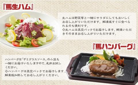 都城産馬!馬!馬尽くし定期便(10ヵ月)_T80(10)-0101