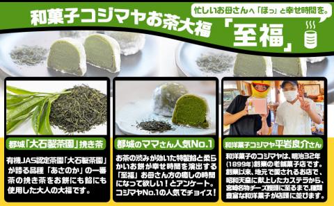 都城のママさんセレクト!親子で嬉しいお子様カレー＆お茶大福セット_AA-2704