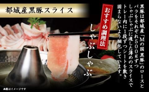 調理法無限大!宮崎牛霜降り(A5)&豚スライス定期便(2ヶ月)_T30（2）-0103