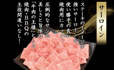 A5 宮崎牛 ヒレステーキ&サーロイン焼肉用_AF-0109_【肉 牛肉 焼き肉 焼肉 ステーキ 人気 おすすめ 国産 宮崎県産】