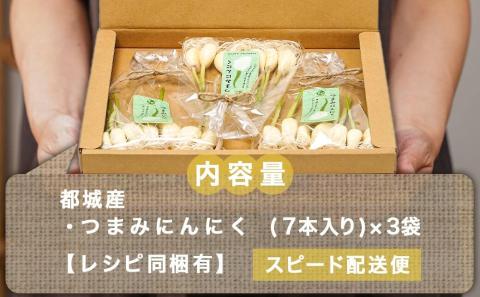 スーパーフード!つまみにんにく 7本入り×3袋※ポスト投函≪みやこんじょ特急便≫_LA-C901-Q