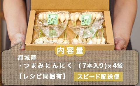 スーパーフード!つまみにんにく 7本入り×4袋※ポスト投函≪みやこんじょ特急便≫_LB-C901-Q