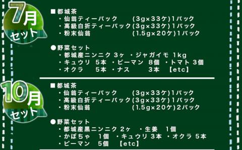 季節に合わせた都城茶と都城野菜のセット定期便(5回)_T40（5）-3701