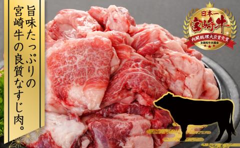宮崎牛のすじ肉1kg (500g×2パック)_AO-7703