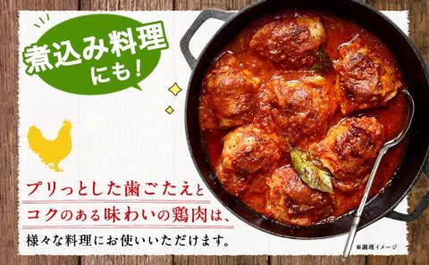 国産若鶏一口カット(もも肉・皮なしむね肉)3kgセット(真空)_AO-I601【鶏肉 もも モモ むね ムネ】