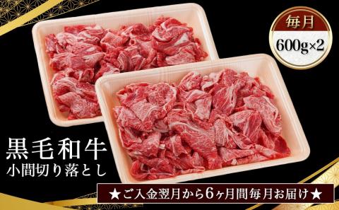 黒毛和牛!小間切り落とし6ヶ月定期便≪1.2kg×6回≫_TAC6-4201