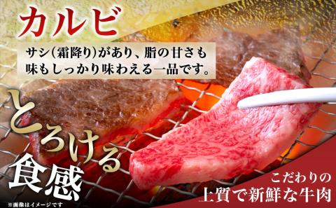 宮崎牛カルビ500g_18-4205_【肉 牛肉 焼き肉 焼肉 人気 おすすめ 国産 宮崎県産】