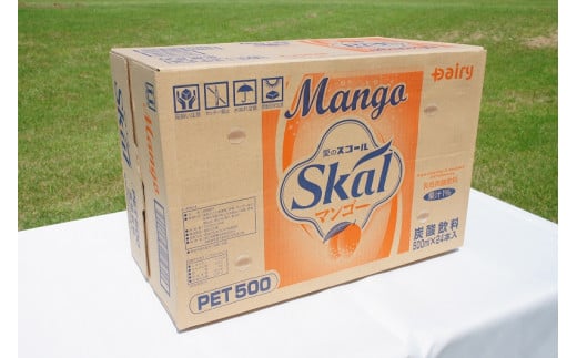 愛のスコール マンゴー 500ml×24本_11-2304