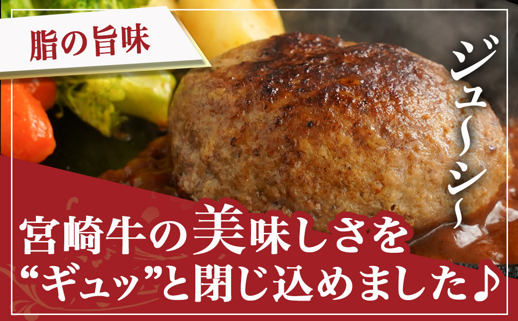 宮崎牛100%ハンバーグ・デミグラスソース付_11-2603