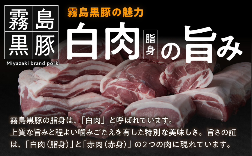 霧島黒豚 3種の煮込みハンバーグ 12個セット (デミグラスソース仕立て・和風おろしソース仕立て・大人の照焼きソース仕立て)_11-2803