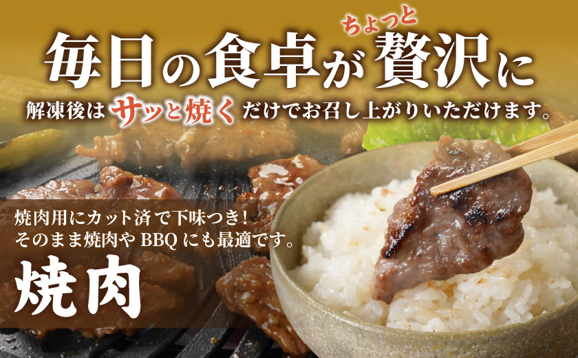 牛ヒレ塩麹タレ漬け1.2kg(焼肉用カット)_11-3303