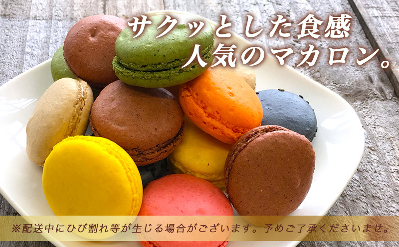 静マカロン14個セット_11-C202