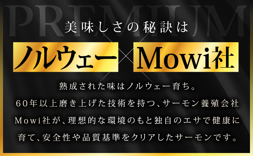 プリンス アトランティックサーモン500g_11-M302