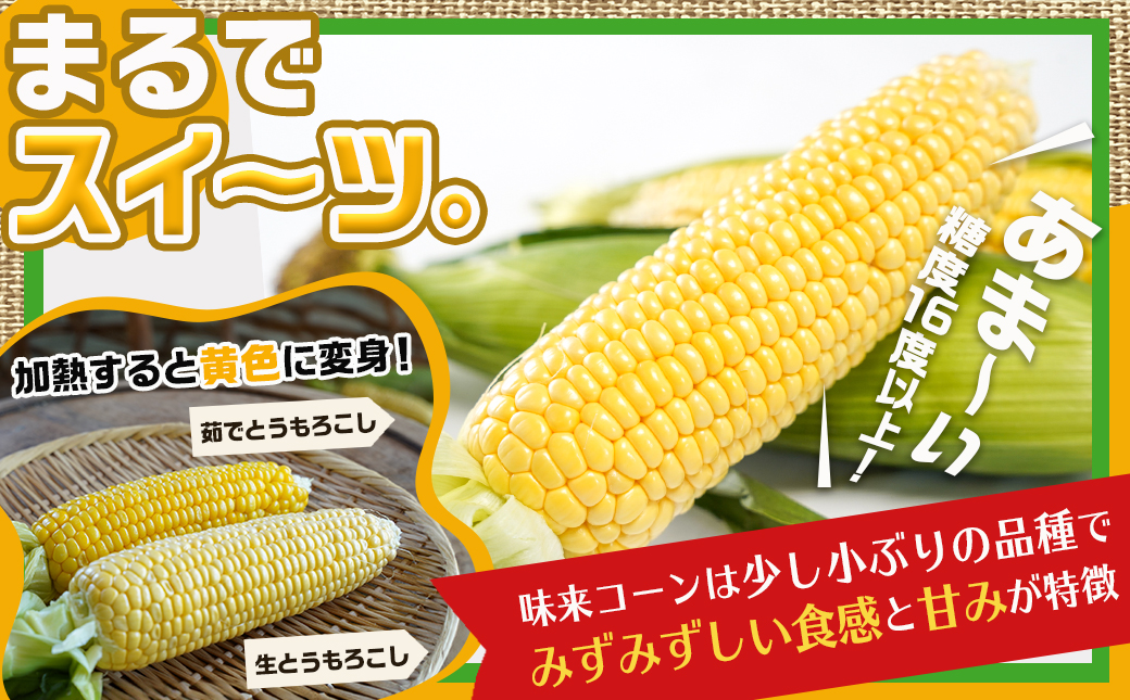 【先行受付】朝どれ!!都城産スイートコーン(味来コーン)5kg 15本以上_12-B401-6