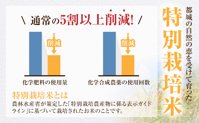 都城産ひのひかり特別栽培米「ぼんちそだち」5kg(5kg×1袋)_12-N5-001-5kg