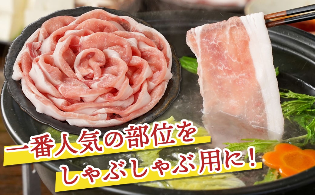 観音池ポーク ロースしゃぶしゃぶ〈全部真空パック〉1.6kg_13-1506