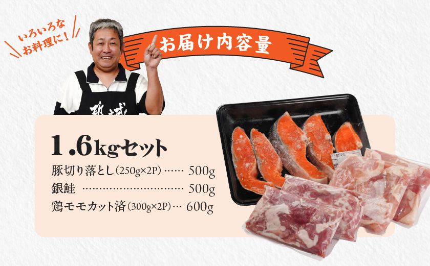 ≪肉×魚≫小分け3種セット(豚切り落とし250g×2P・鶏モモカット済300g×2P・銀鮭500g)_13-8402