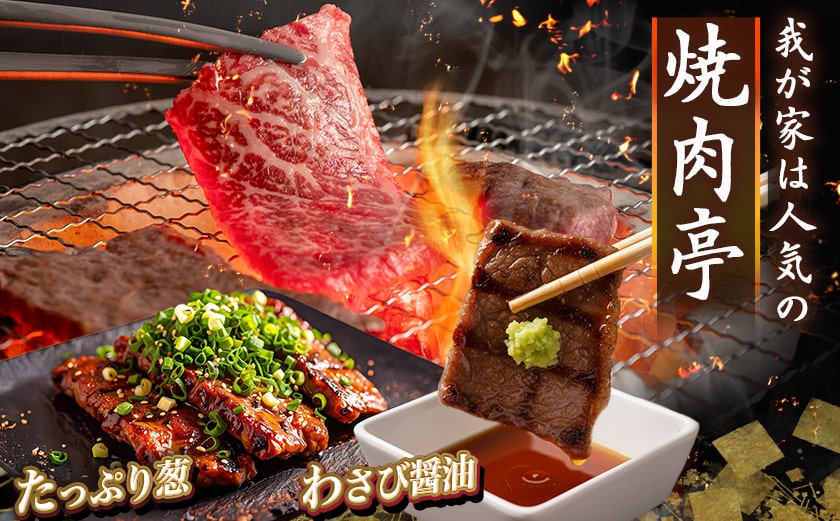 黒毛和牛モモ焼肉用500g_14-3302_【肉 牛肉 焼き肉 焼肉 人気 おすすめ 国産 宮崎県産】