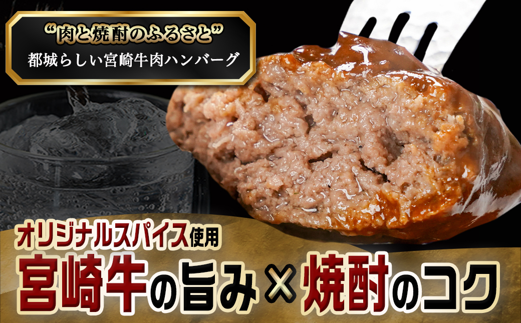 加熱済み☆宮崎牛ハンバーグ6個_14-8405